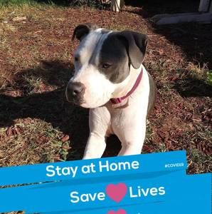 Meet your Posher, Dionne